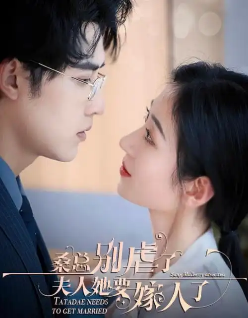 538在线视频年代生活剧城南旧事簿